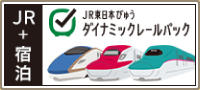 JR東日本びゅうダイナミックレールパック