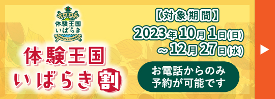 全国旅行支援 体験王国いばらき割