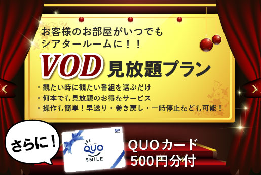 QUOカード500円分+VOD(有料放送)見放題付プラン