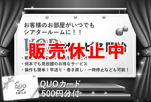 QUOカード500円分+VOD(有料放送)見放題付プラン