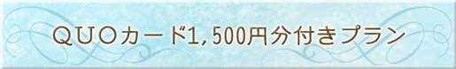 QUOカード1,500円分付プラン