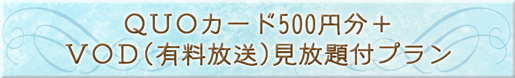 QUOカード500円分+VOD(有料放送)見放題付プラン