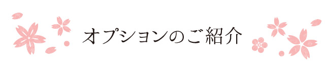 オプションのご紹介